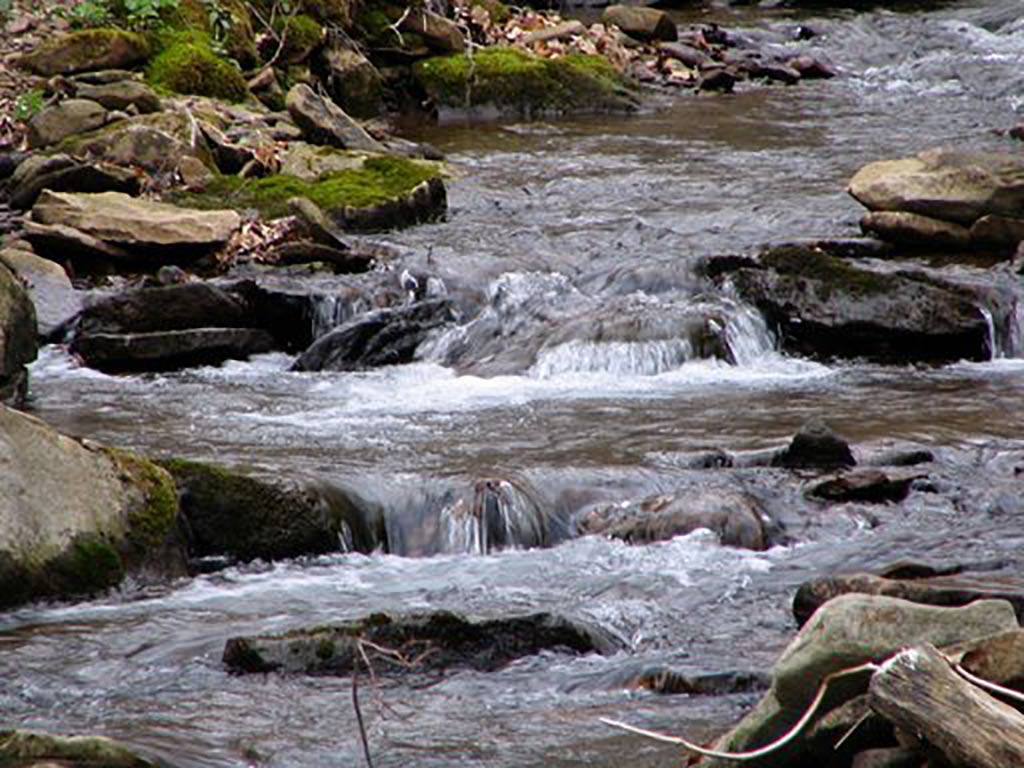 Foundation for Pennsylvania Watersheds